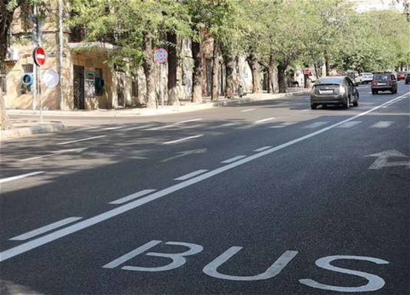 На автобусных полосах появятся специальные зоны