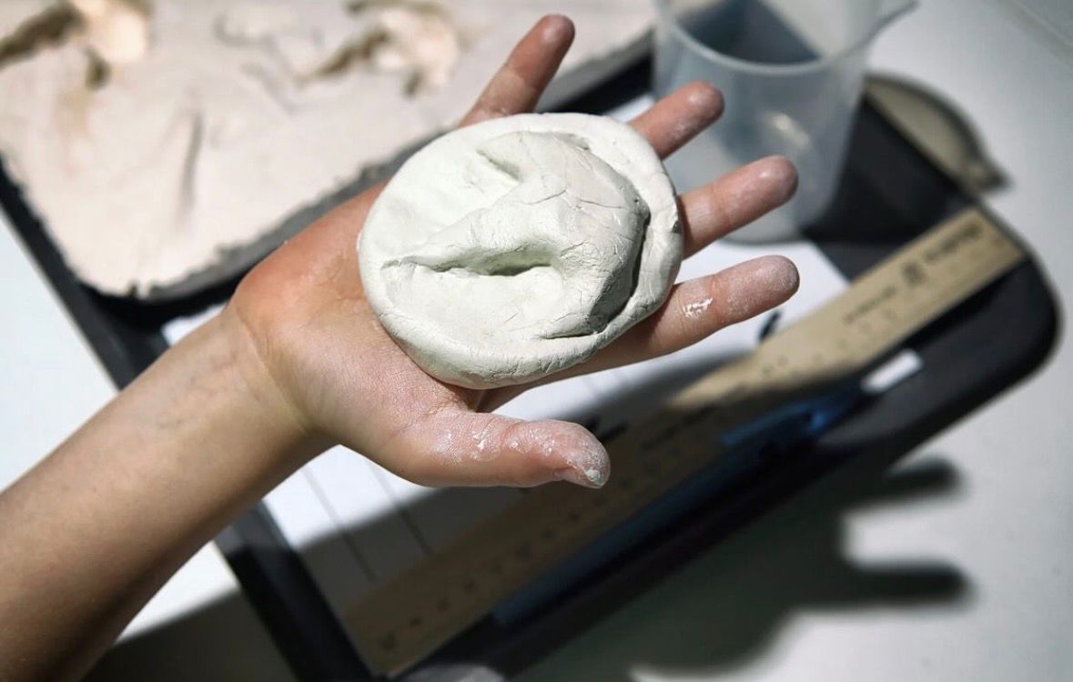 Кружок по палеонтологии, археологии и медицине от Sciencely Baku