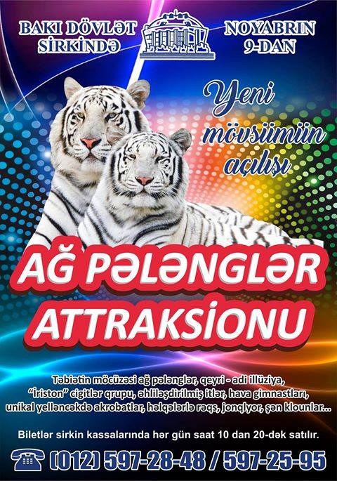 Цирковое выступление "Аттракцион белых тигров"