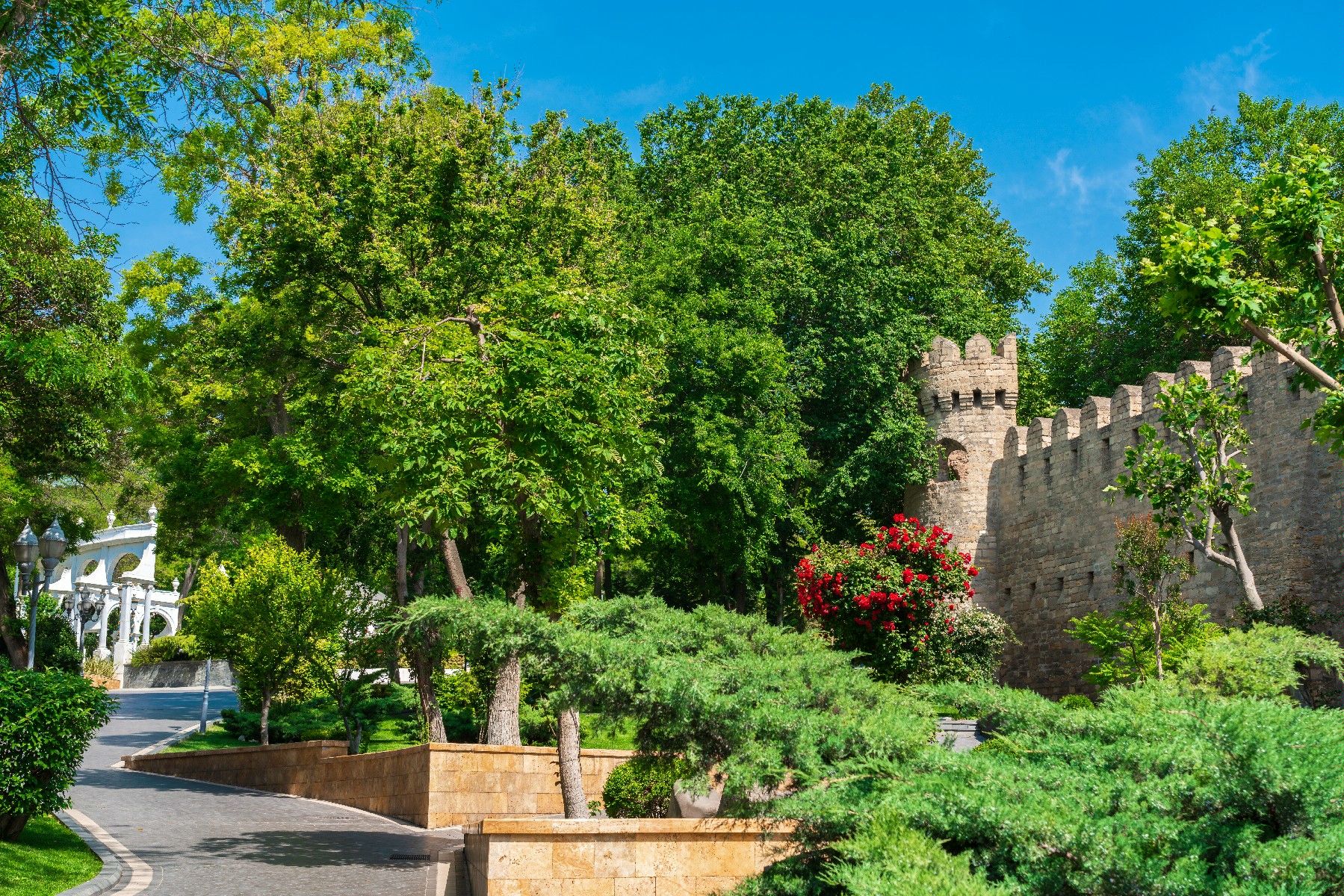 От пустыря к зелёному оазису: как появился Губернаторский сад в Баку