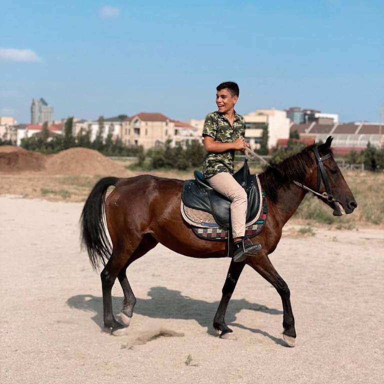Baku Karabakh Horse Club