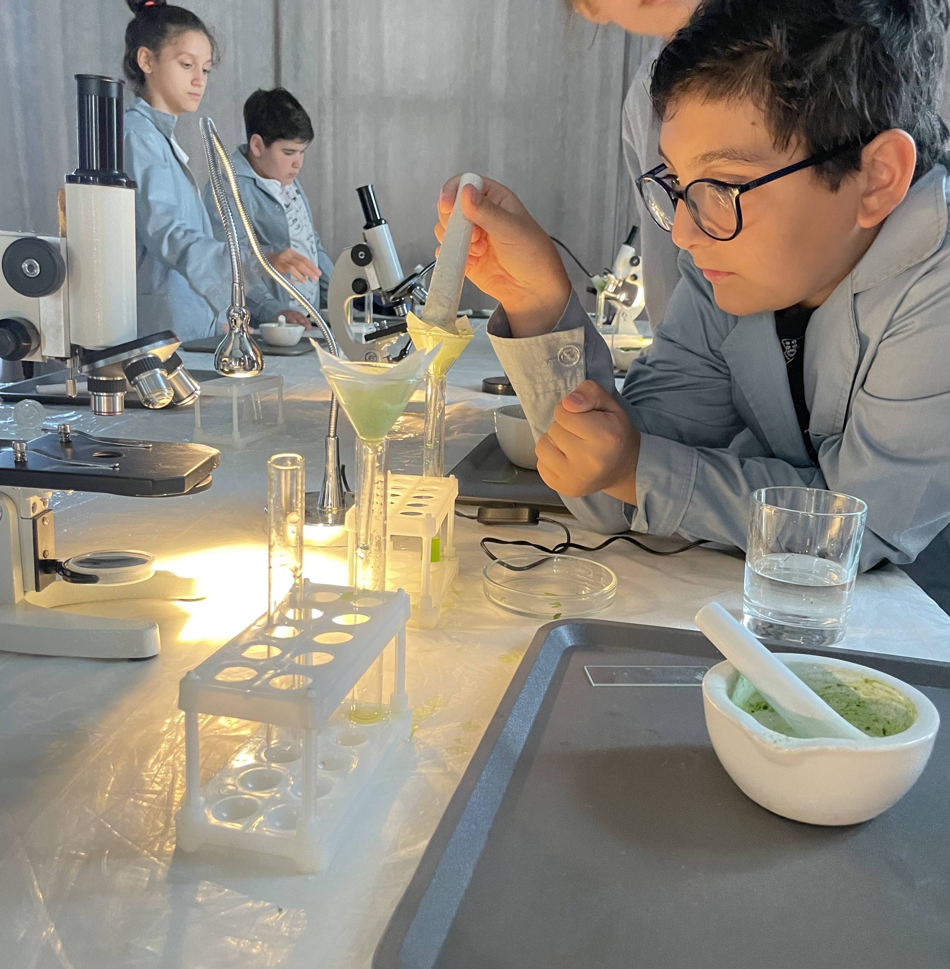 Летний лагерь по Биоинженерии от Sciencely Baku
