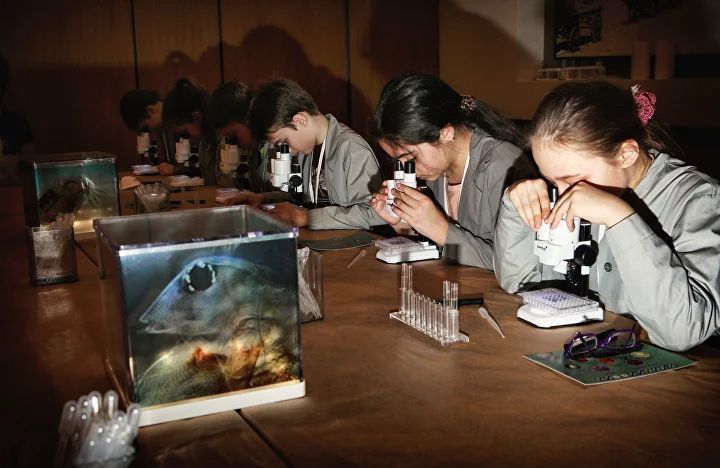 8 идей на выходные с детьми: 14–15 марта