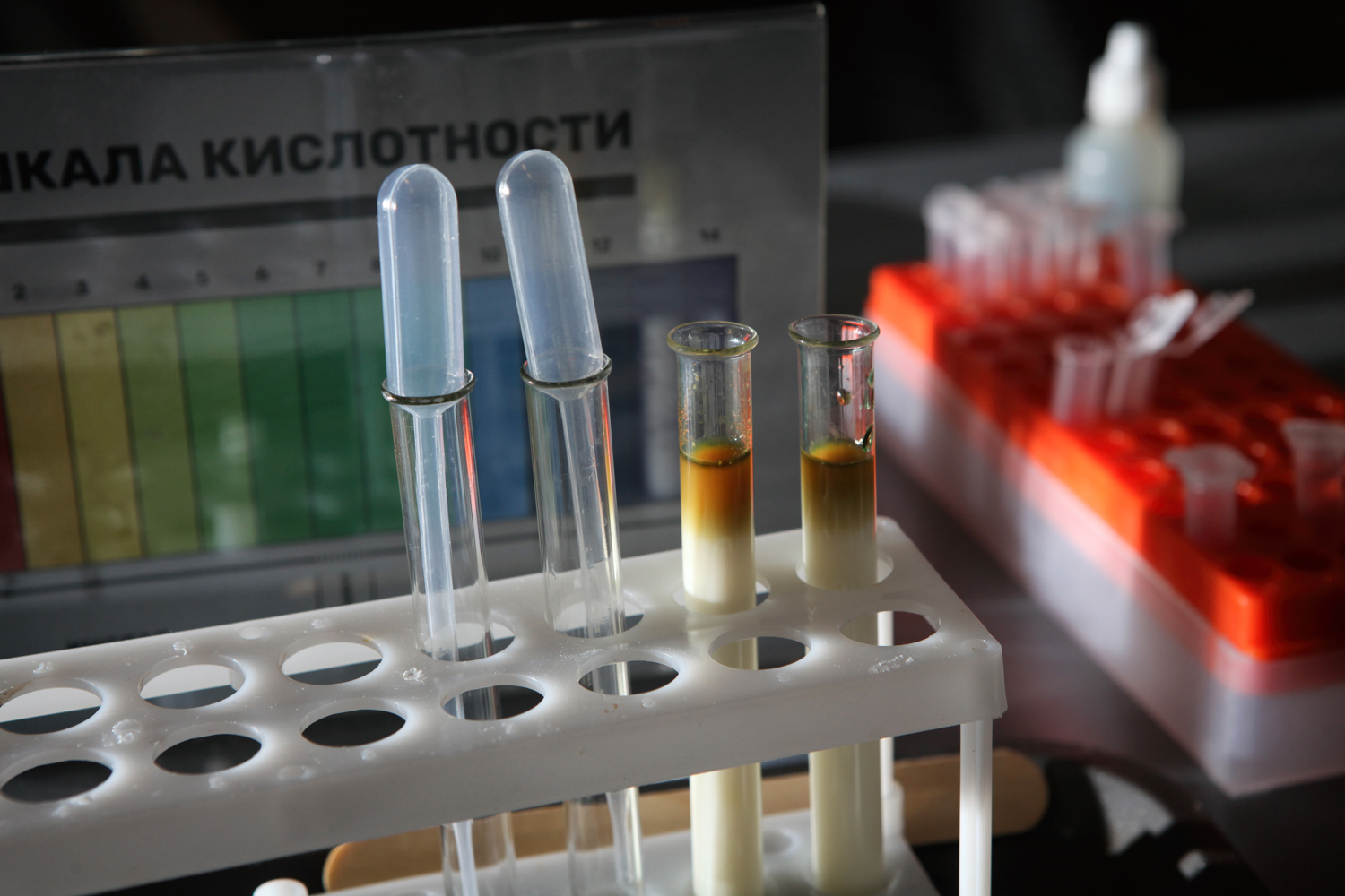 Премьера от Sciencely Baku. Программа 