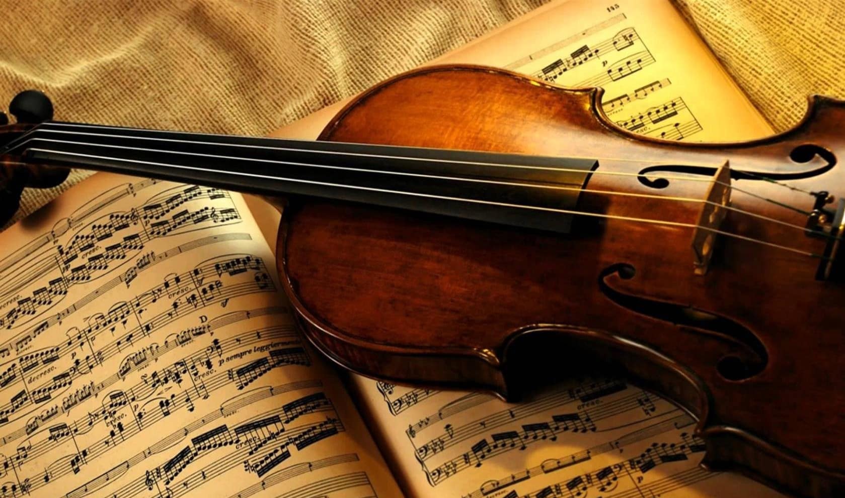 Концерт классической музыки в “Little Wonders”