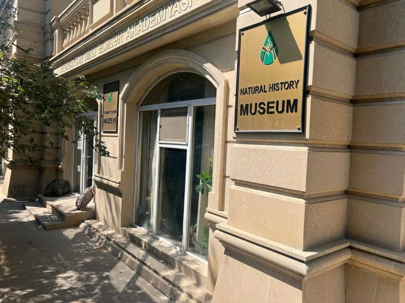 Экскурсия от LectoriyProBaku