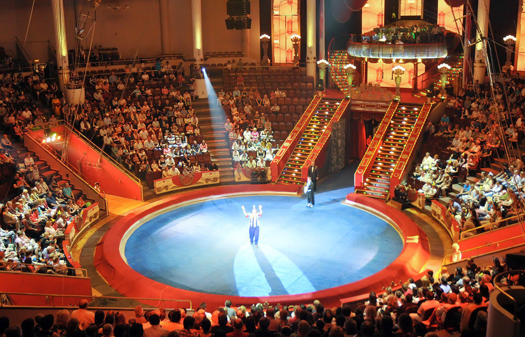 Международный цирк: DZİVA