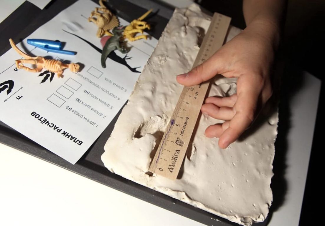 Кружок Естественных Наук 